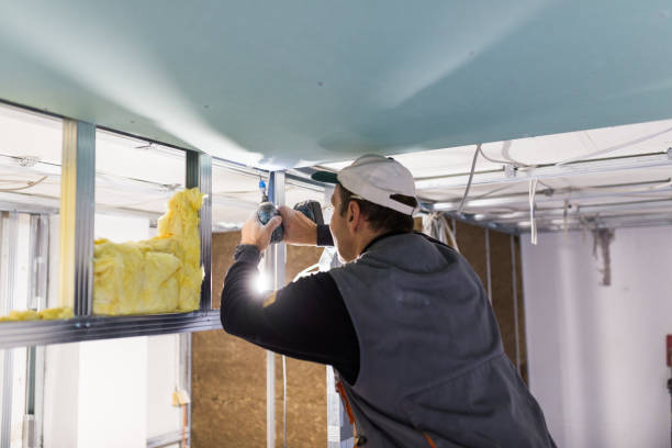 Types of Insulation We Offer in Mineral Springs, NC