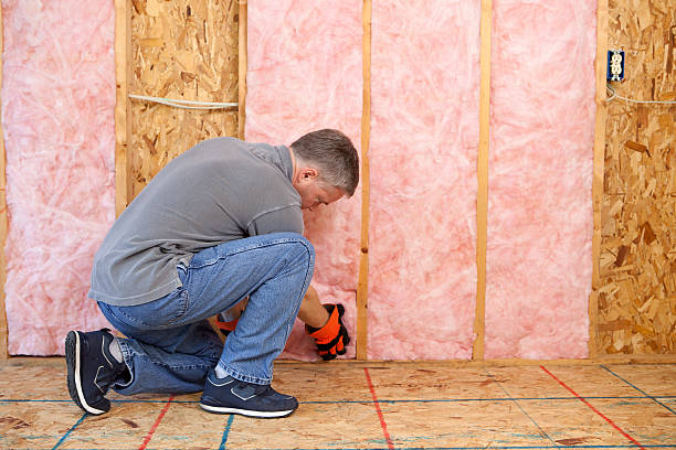 Best Geographic-Specific Insulation Services in Mineral Springs, NC